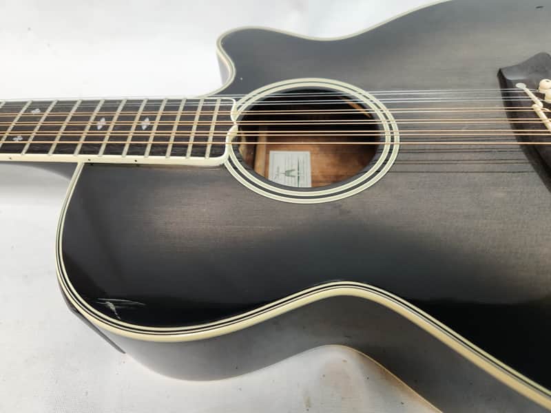 Takamine 12弦アコースティックギターNPT-110-12プリアンプ不良 Takamine NPT-110 Wine Red 1992年 純正ハードケース付 【ピックアップ