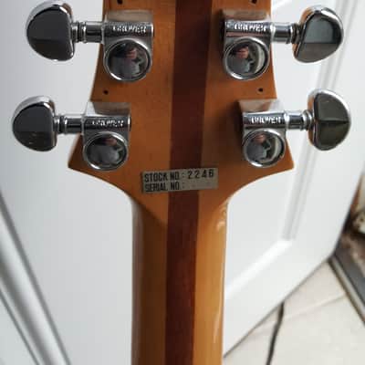 Electra Dan Armstrong Copy Plexi 1970s Clear image 3