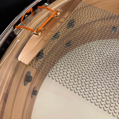 Pearl Brian Frasier Moore Signature 5.5x14" BFM1455, 12-Ply Maple Snare Drum 2002 image 14