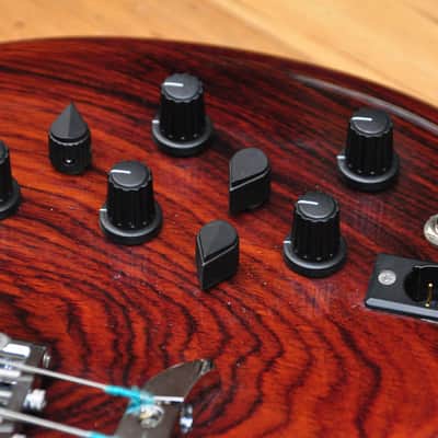 Alembic Series II Omega Shape 2018 image 8