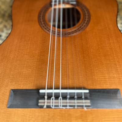 Cordoba C5-CE Classical with Electronics 2025 - Natural image 5