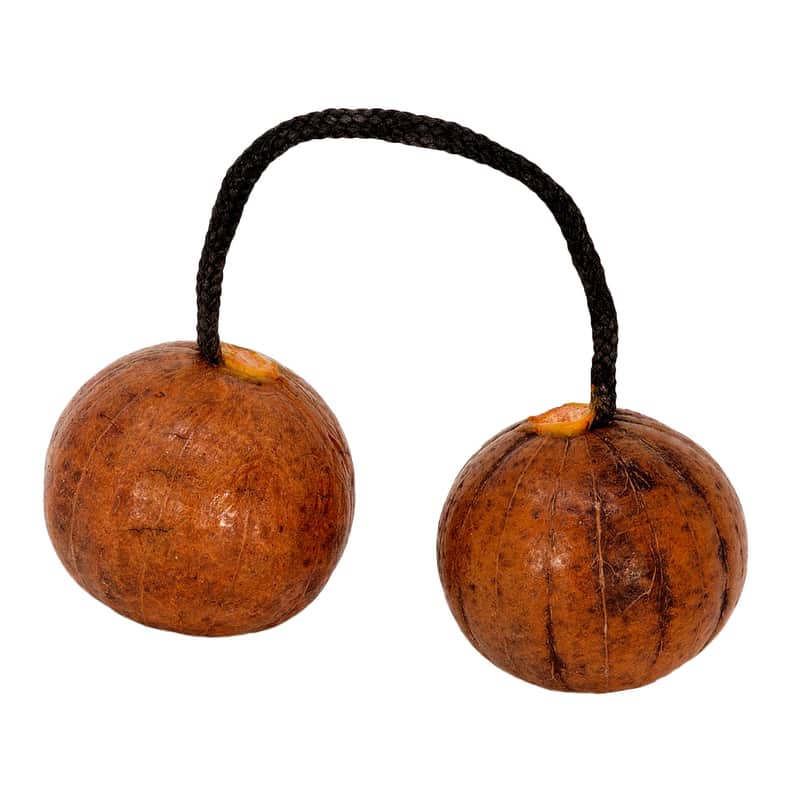 Immagine Terre Thelevi Standard Ball Shaker - 1