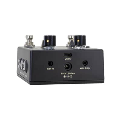 Walrus Xero Polylooper Pedal - Black image 4