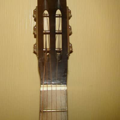 Aluminium  Metal Body Stone Acousitc Guitar USSR Soviet and very Vintage image 3