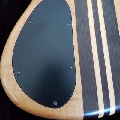 Tobias Toby Pro 5, Neck-through, Active Electronics Bild 18