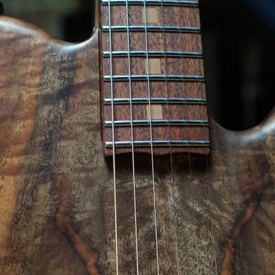 ADAMS GUITAR CO. Custom Handcrafted Electric Guitar "CHESTER DAVENPORT" image 4