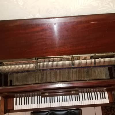 1910 Steinway Vertegrand: Mahogany OBO image 5