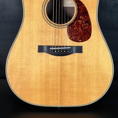 Santa Cruz Dreadnought - Gloss image 3