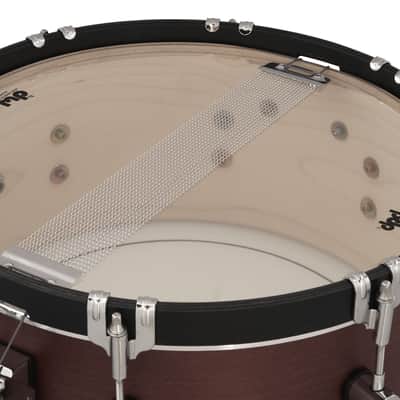 PDP Concept Classic 6.5x14 Ebony Stain Snare Drum with Ebony Stain Wood Hoops image 4