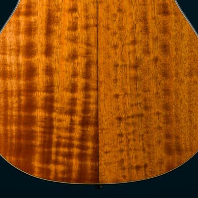 Bourgeois GA Custom All Figured Mahogany Short Scale Used (2023) image 21