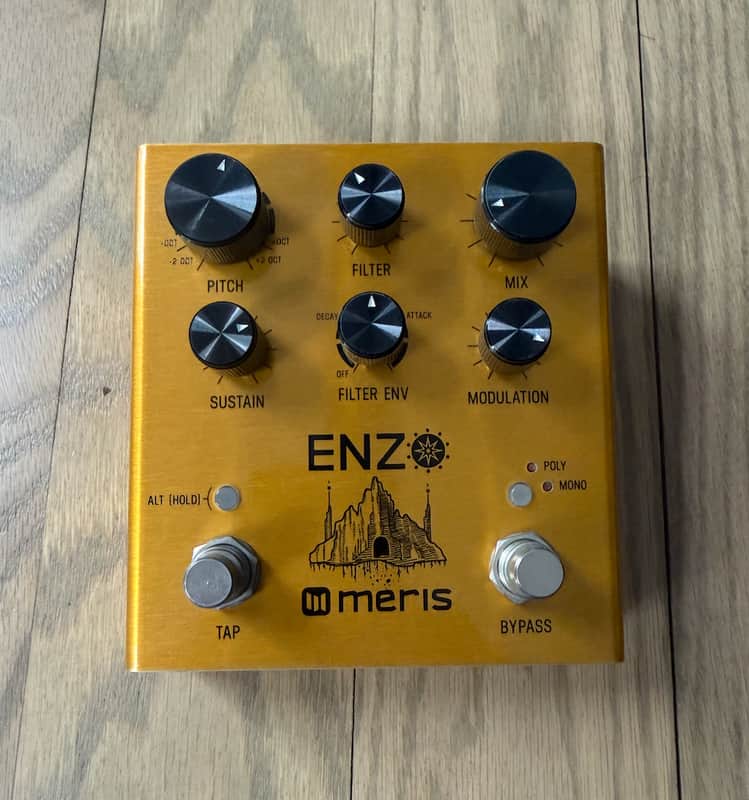 Meris Enzo