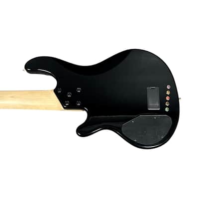 Lakland Skyline 55-02 Custom, Spalt Violet Burst / Maple  9.5 LBS *IN STOCK* image 2