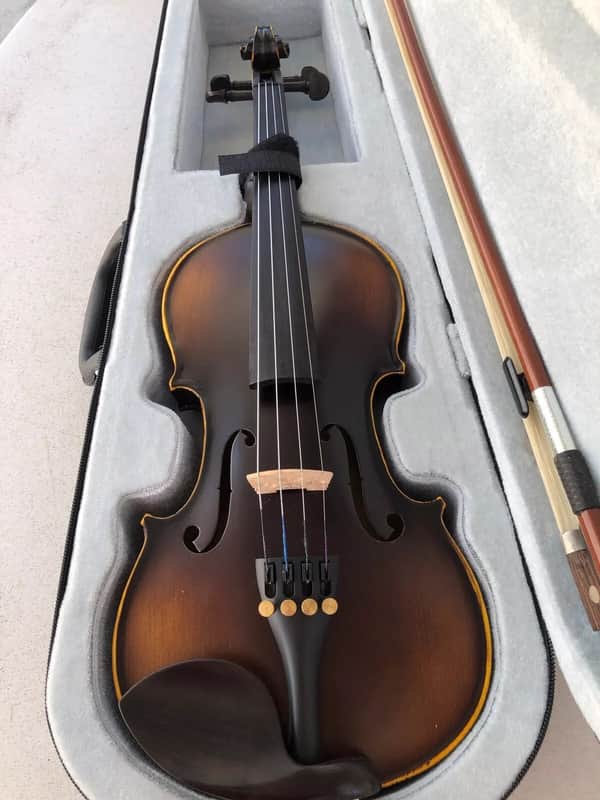 Paganini パガニーニ　ヴァイオリン　PVS200 4/4 Hand-Crafted Paganini Model 4/4 Violin | Solid Wood, Ebony