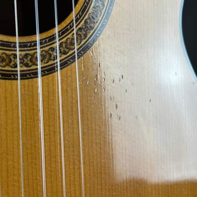 Used Takamine Jasmine ES23C TSU24935 image 5