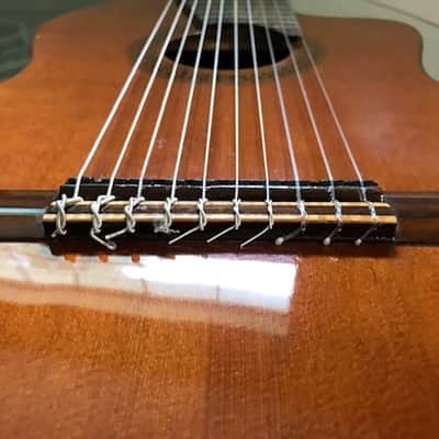 Cathedral 10 string clasical guitar 2013 with midi pickup image 17