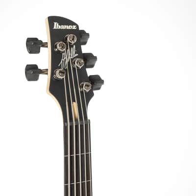 Ibanez Gary Willis GWB205-TQF Tequila Sunrise Flat - 5-String Electric Bass image 10