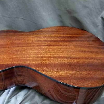 Breedlove Discovery S Concertina CE Edgeburst image 3