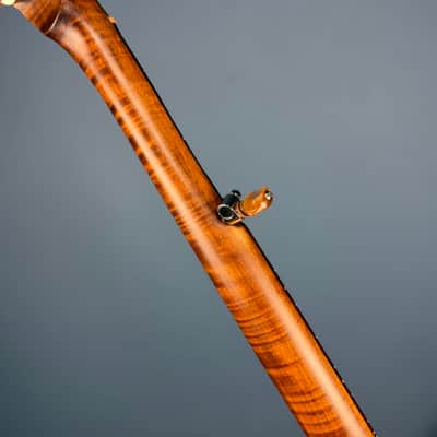Starr Limited Edition 11" Maple 5-String Openback Banjo image 20