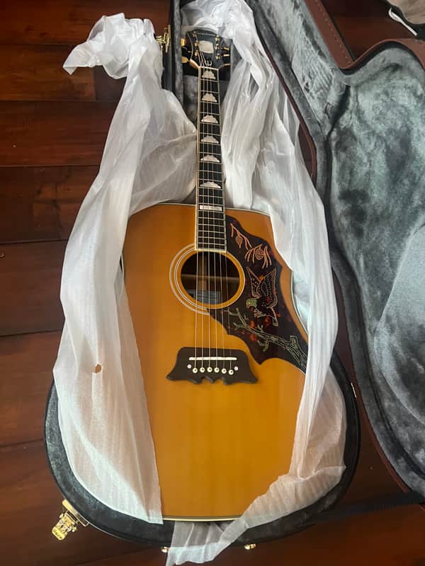 Epiphone.  master pro Ft120 master bild. 2022 - Natural image 1