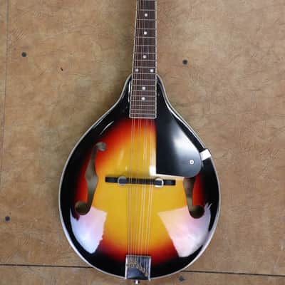 Indiana B-M1 Mandolin image 1