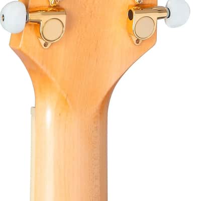 Takamine GD74CE 12-String Dreadnought Acoustic-Electric Guitar, Spruce Top image 6