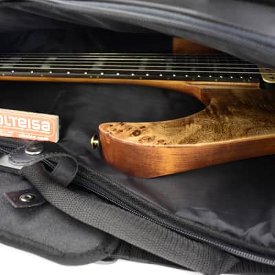 Ibanez	RGT1220PB Premium Electric guitar With gigbag 3359gr image 18