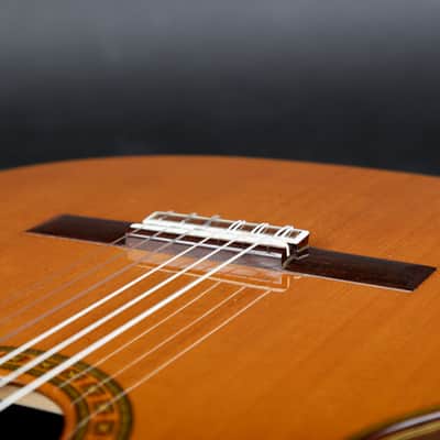 Asturias Standard Handmade Classical Guitar Japan 1997 image 10