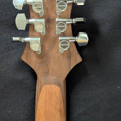 Ashby instruments guitar 2025 image 5