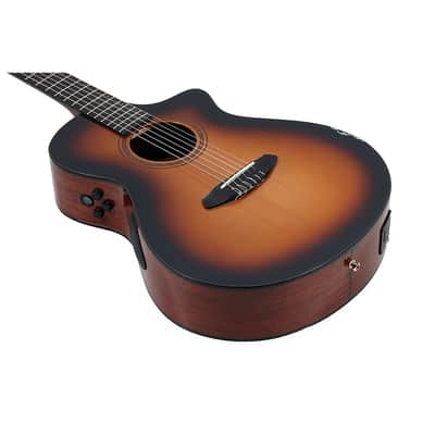 Breedlove Solo Pro Concert Nylon-String Classical Acoustic-Electric Guitar Regular Edge Burst image 3