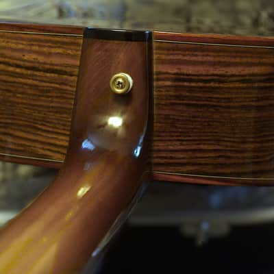 Peterson D-100 MY (2021) USA Handbuilt Boutique Acoustic Dreadnought - Fishman Matrix Infinity, OHSC image 19