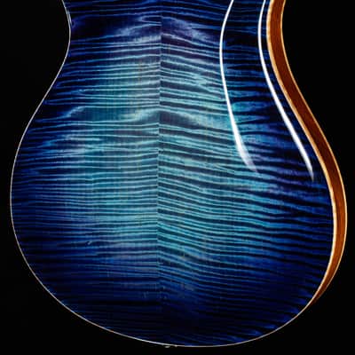 PRS Private Stock 10800 Hollowbody II Piezo Birds of a Feather Aqua Violet Glow (319) image 2