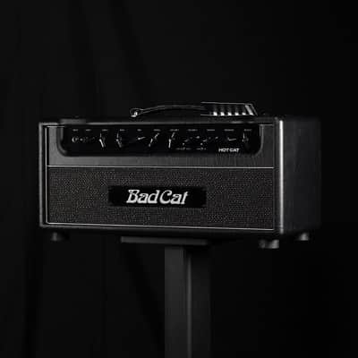 Bad Cat Hot Cat 45W EL34 2-Channel Tube Head with Reverb image 5