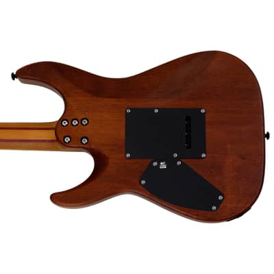Schecter C-1 Exotic Spalted Maple guitar in Satin Natural Vintage Burst B-Stock 0498 image 6