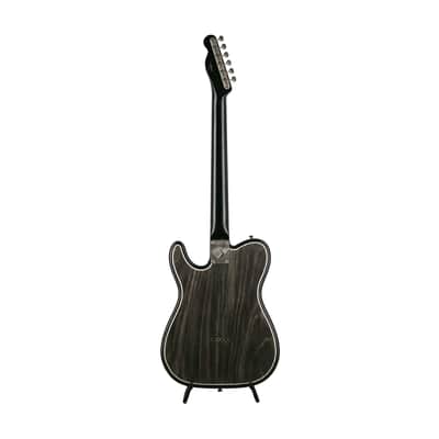 Fender Custom Shop Ron Thorn Masterbuilt, Game of Thrones House Stark, Telecaster, HSXX image 3