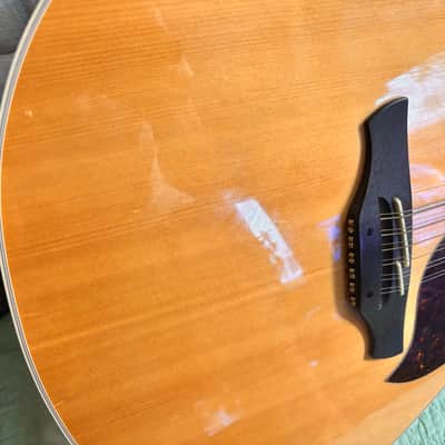 Takamine EG523SC-12 12 String Acoustic Electric Guitar w Case image 5