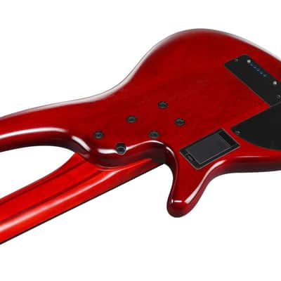 Ibanez SR Bass Workshop 5 String Electric Bass - Fretless - Brown Topaz Burst Low Gloss (SRD905FBTL) image 8