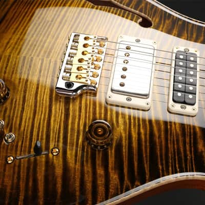 PRS Private Stock Special 22 Semi-Hollow in Tiger Eye Glow PS#10490 image 5