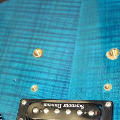 USA Custom Shop Washburn WM100 - Heavily Upgraded - No Tariffs image 10