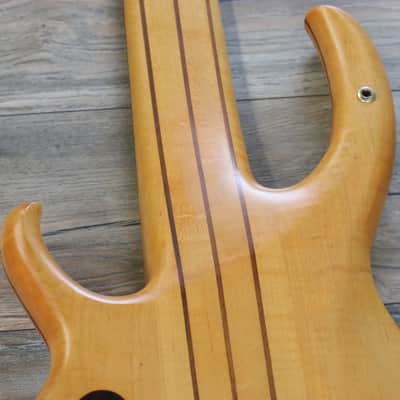 Awesome! Bill Moll Custom 6-String Electric Bass Guitar + Coffin Case image 18