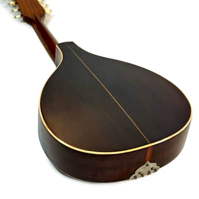 Flat-Back Mandolin Model Luxe Bruno Klemm 1890's / 1900's image 20