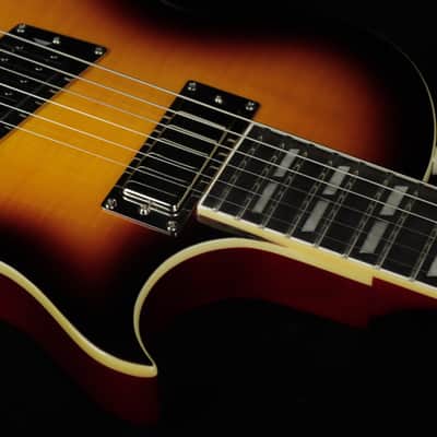 Epiphone Nancy Wilson Fanatic Outfit (#318) image 5