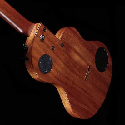 Rick Turner Guitars Renaissance RS6 redwood top lefty lefthanded LH image 4