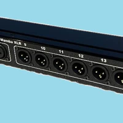 Mamba 8XLR Combo  & 8 XLR Male to  8 XLR Male & 8 Combo [8inx8out XLR panel] image 3
