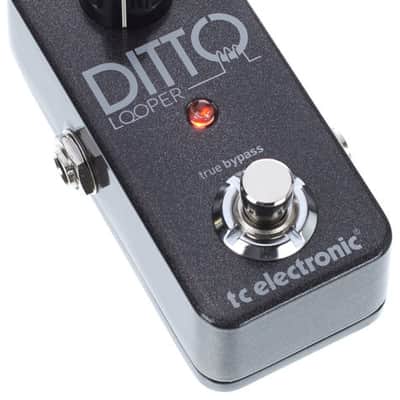 TC Electronic Ditto Looper image 3
