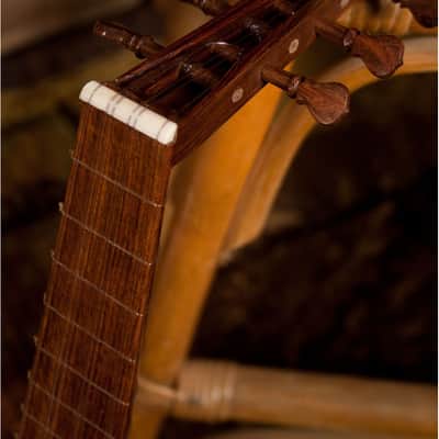 Roosebeck ULTVL | Tenor Lute-kulele Variegated. New with Full Warranty! image 9