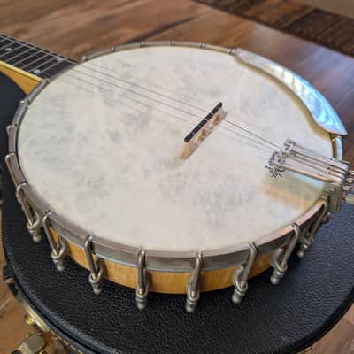 Bart Reiter Professional 5 String "Open Resonator" Banjo LEFTY Late 1980s USA EXCELLENT image 6