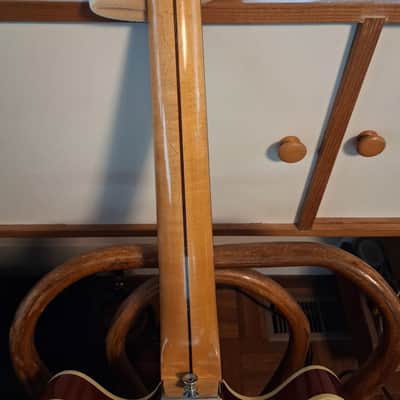 Fender 1967 Coronado with 1969 Fender Montego Neck image 4