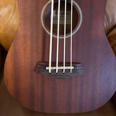 Gold Tone GT Series Micro Bass Mid 2000’s - Matt image 4
