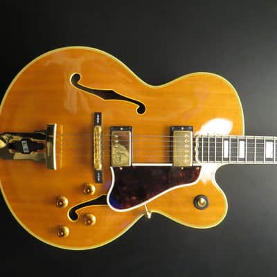 Gibson 1991 L5 Natural image 2