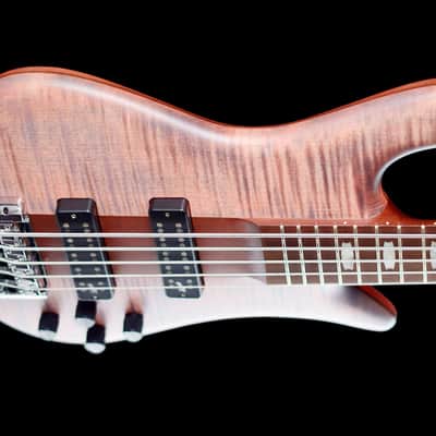Spector Euro 5 RST 2024 - Roasted Sundown Glow image 4